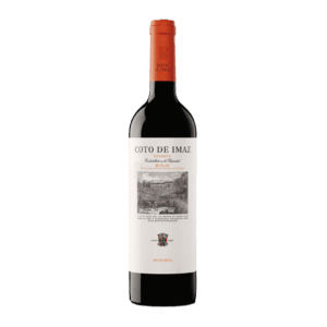 El Coto Imaz Reserva